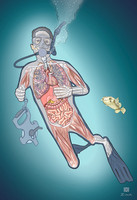 Diver anatomy and friendly fish