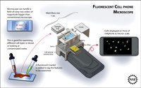 Cell phone fluorescent microscope