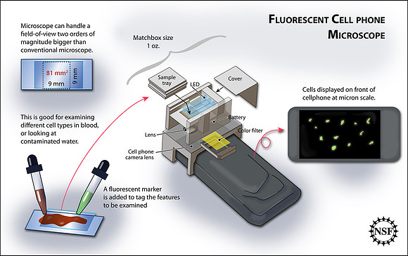 Cell phone fluorescent microscope