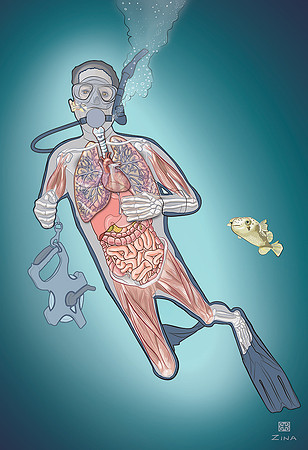 Archaeological Diver, Frontispiece for NOAA Diving Bible