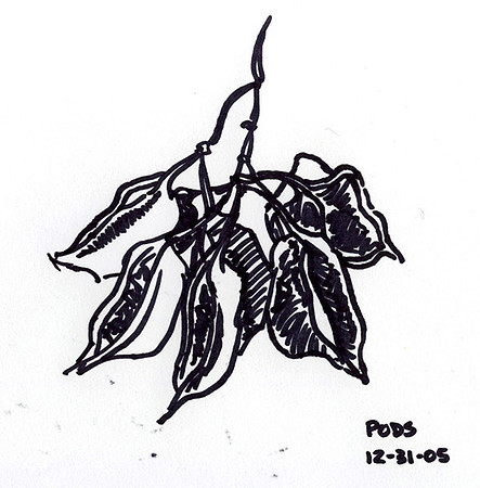 Pods