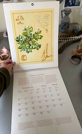 2003 Mongolian calendar