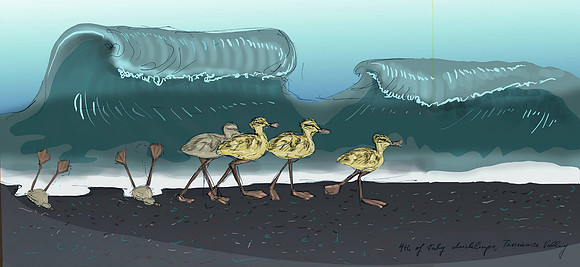 Tennessee Valley ducklings