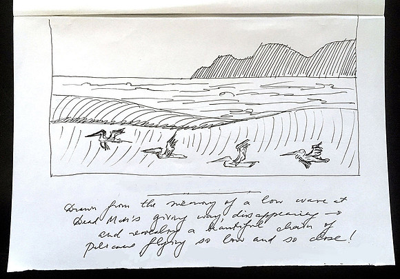 Pelicans skirting waves at China Beach