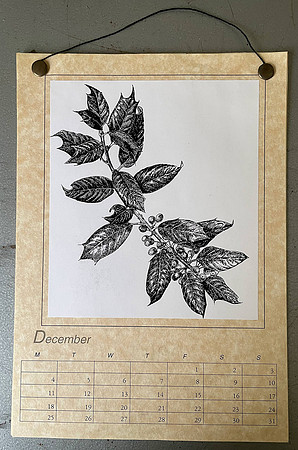 2002 Calendar